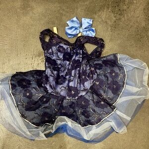 Elegant Blue Lace Kids Costume